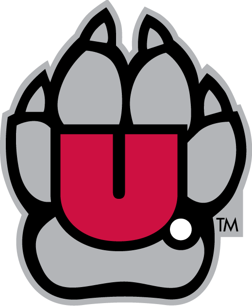 South Dakota Coyotes 2004-2011 Alternate Logo v2 diy fabric transfer